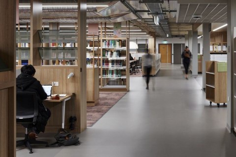 Library and study cubicles