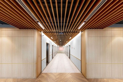 Wall and lift linings