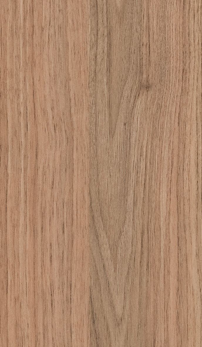 Tasmanian Oak