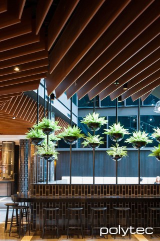 polytec COMMERCIAL & ARCHITECTURAL - Melamine ceiling panels in European Walnut Matt.