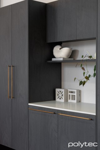 polytec COMMERCIAL & ARCHITECTURAL - Doors and panels in Black Ply Woodmatt.