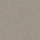 Champagne Metallic Gloss